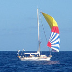 Thumb for Boat Spotters of the Caribbean